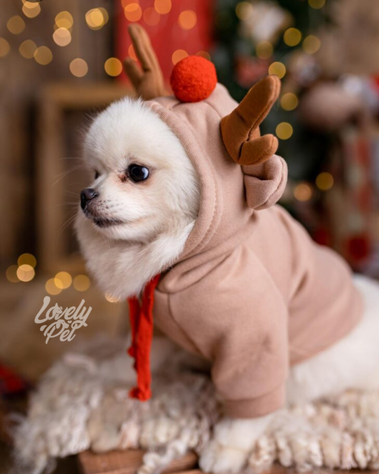 HOODIE RENO NAVIDEÑO