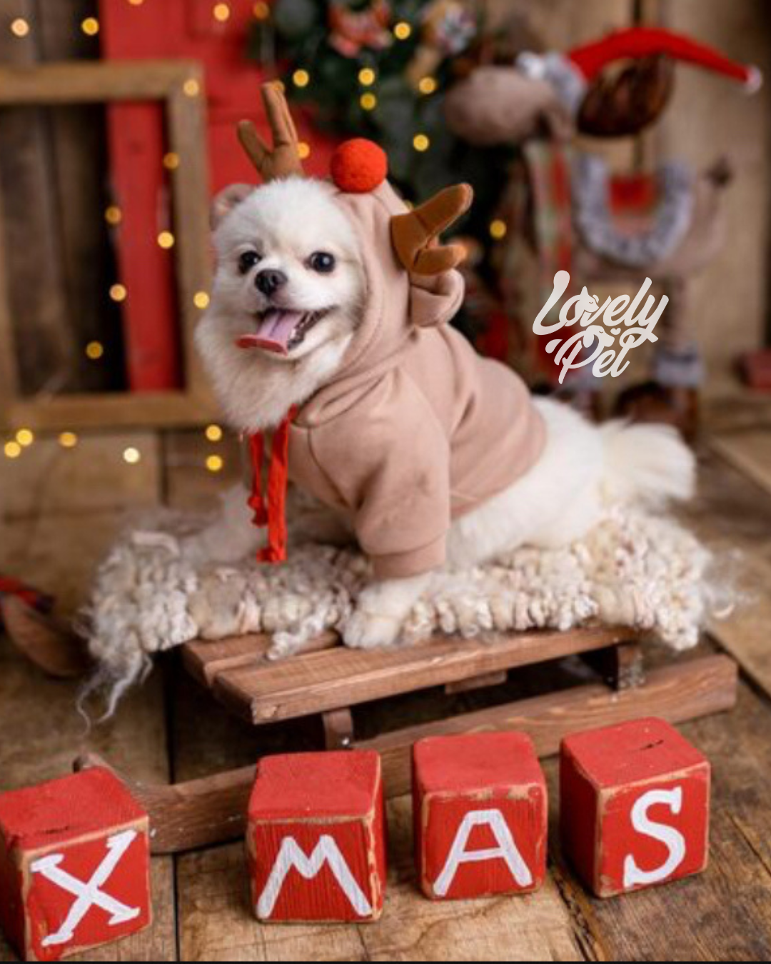 HOODIE RENO NAVIDEÑO