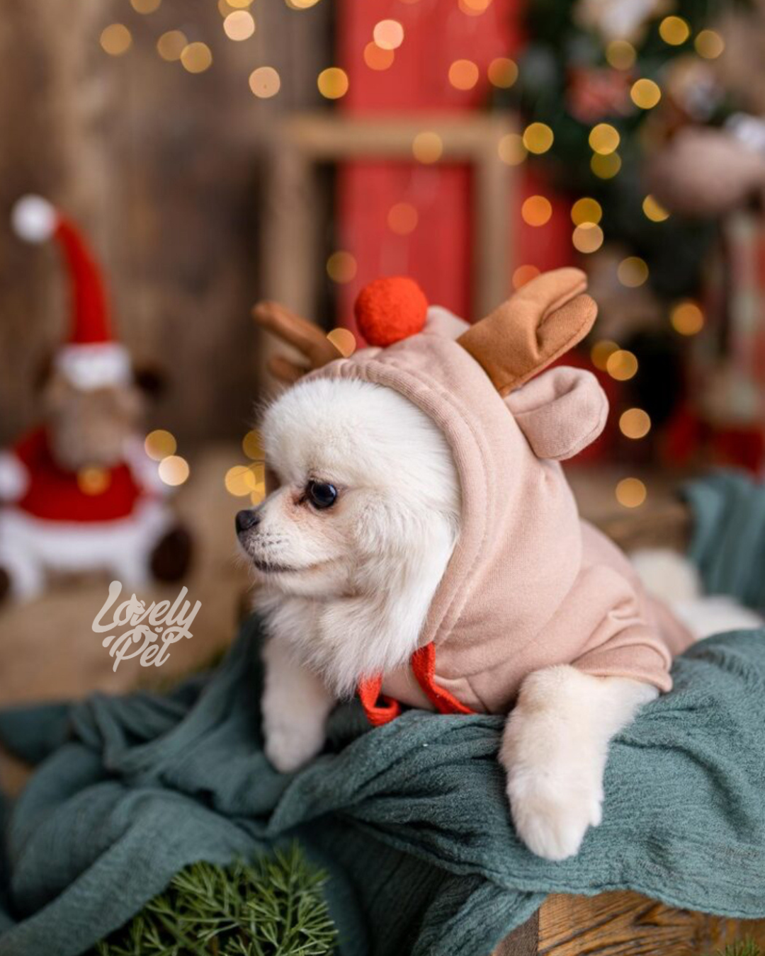 HOODIE RENO NAVIDEÑO