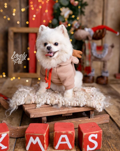 HOODIE RENO NAVIDEÑO