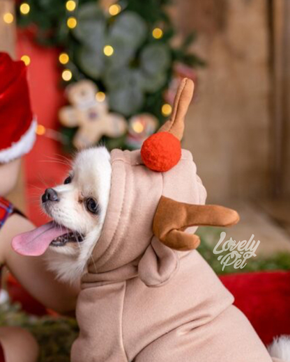 HOODIE RENO NAVIDEÑO