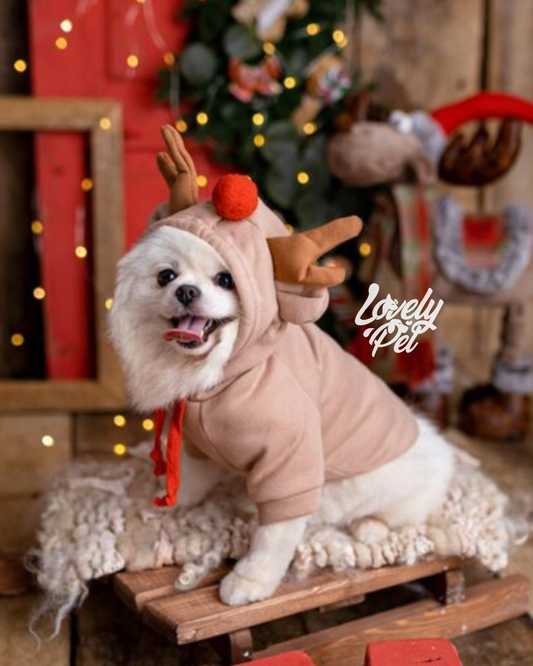 HOODIE RENO NAVIDEÑO