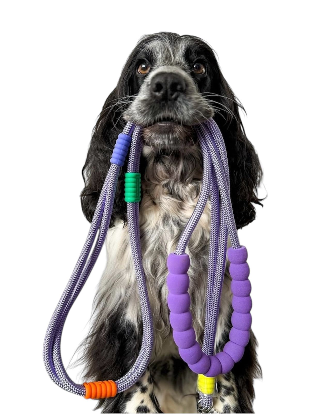 CORREA MASMELO - MANOS LIBRE