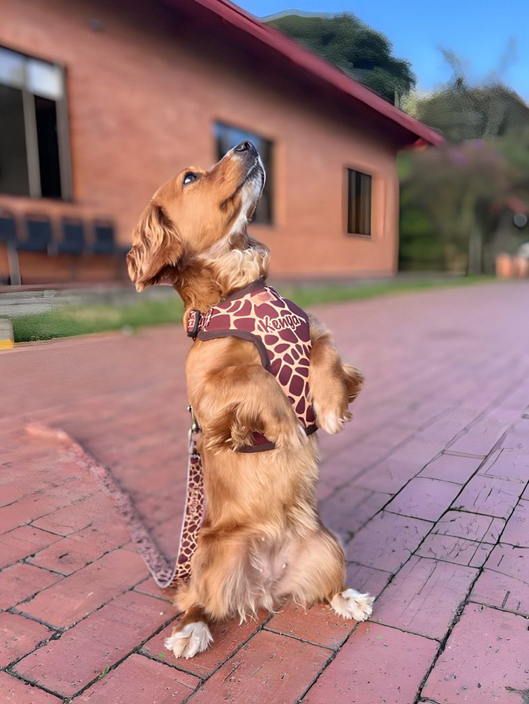 PECHERA PRINT JIRAFA -  PERSONALIZADA