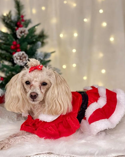 VESTIDO NAVIDAD VOLEROS
