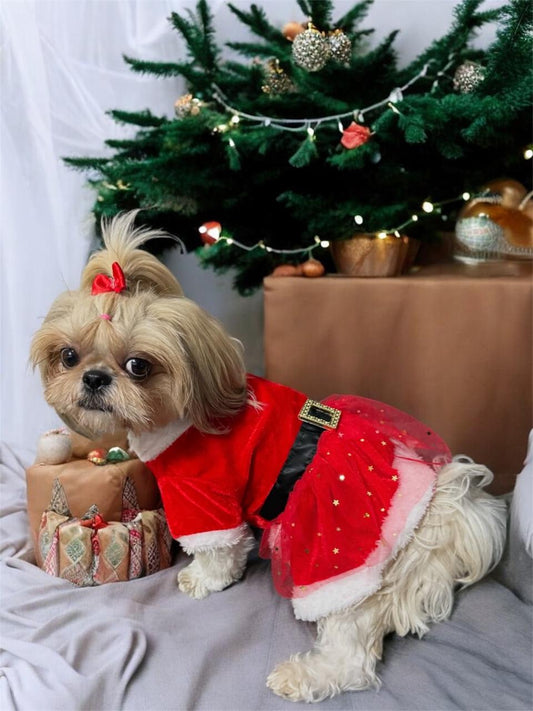 VESTIDO MAMÁ NOEL - TUTÚ