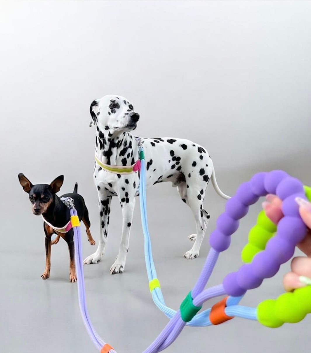 CORREA MASMELO - MANOS LIBRE