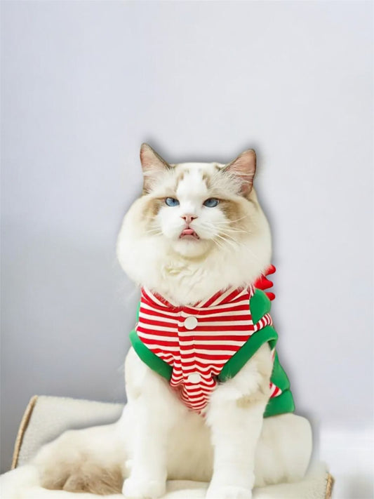 SUETER DUENDE NAVIDEÑO